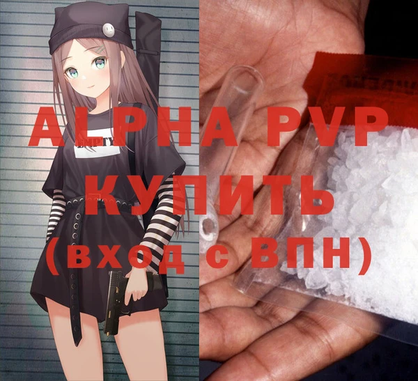 прущие грибы Медногорск