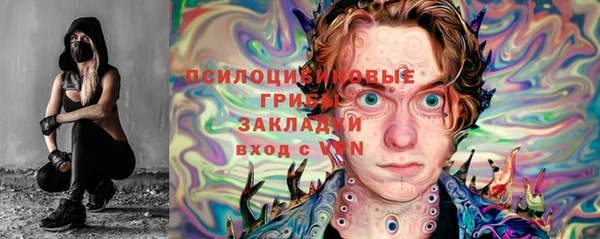 сатива Магадан