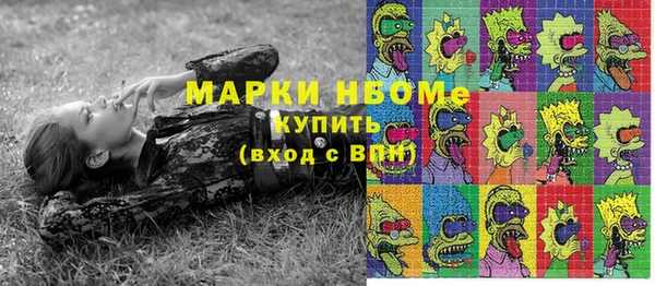 прущие грибы Медногорск