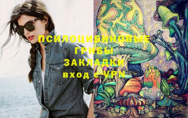 винт Мегион