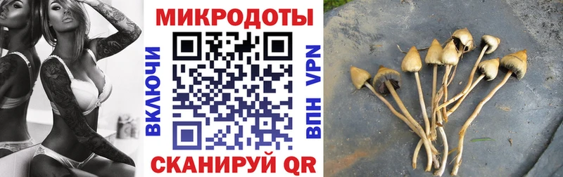 Галлюциногенные грибы прущие грибы  Ленск 